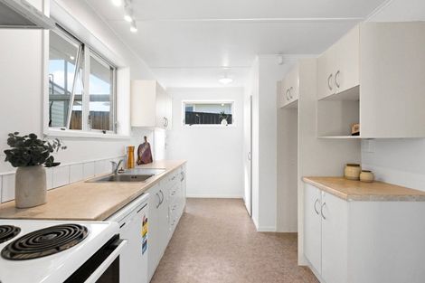 Photo of property in 53 Urlich Avenue, Melville, Hamilton, 3206