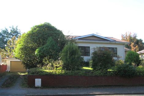 Photo of property in 51 Arapuni Street, Putaruru, 3411