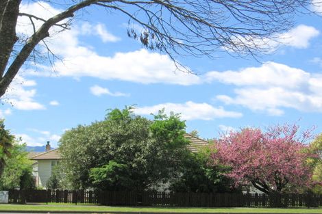 Photo of property in 166 Broadway, Matamata, 3400