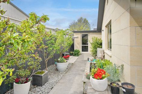 Photo of property in 29 Ivory Street, Rangiora, 7400