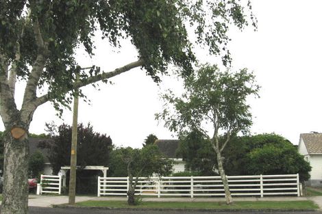 Photo of property in 31 Tasman Avenue, Mount Albert, Auckland, 1025