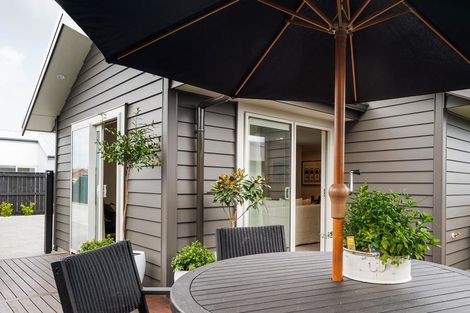 Photo of property in 15 Samuel Place, Terrace End, Palmerston North, 4410