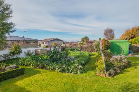 Photo of property in 33 Pukatea Street, Glenwood, Timaru, 7910