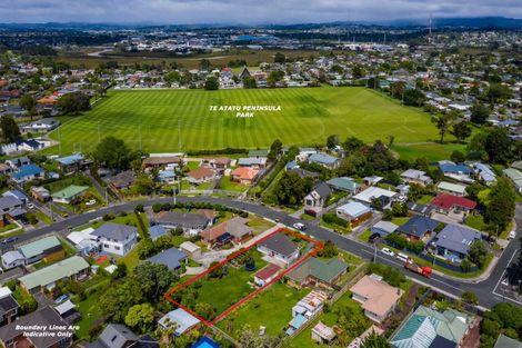 Photo of property in 18 Ward Crescent, Te Atatu Peninsula, Auckland, 0610