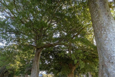 Photo of property in 23 Orchard Road, Greytown, 5712