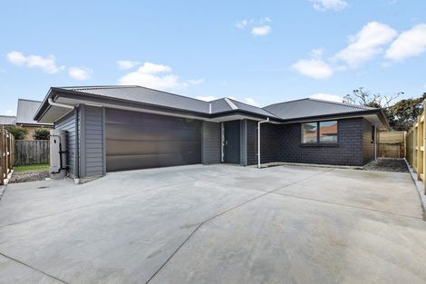 Photo of property in 21a Franklin Avenue, Hokowhitu, Palmerston North, 4410