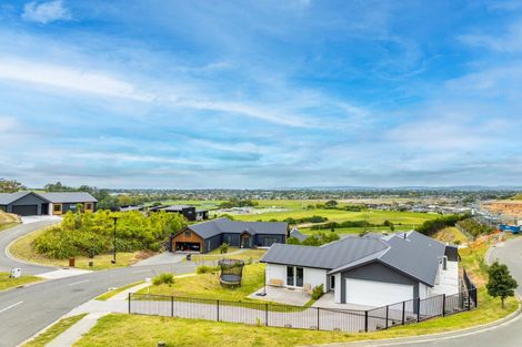 Photo of property in 77 Oak Road, Poraiti, Napier, 4112
