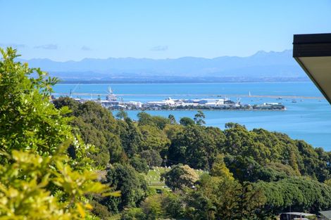 Photo of property in 13 Chamerion Way, Atawhai, Nelson, 7010