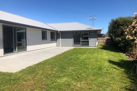 Photo of property in 25 Barry Curtis Place, Levin, 5510