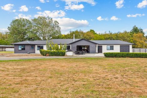 Photo of property in 53 Bruce Road, Levin, 5510