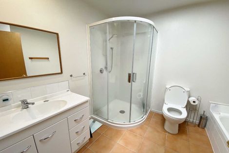 Photo of property in 17a Fairfield Road, Fairfield, Hamilton, 3214