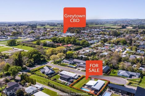 Photo of property in 6 Hewson Lane, Greytown, 5712