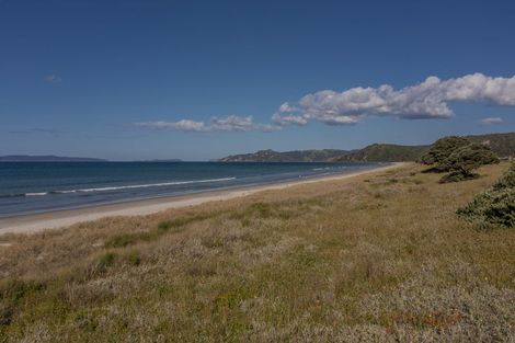 Photo of property in 117 Kopani Road, Matarangi, 3592