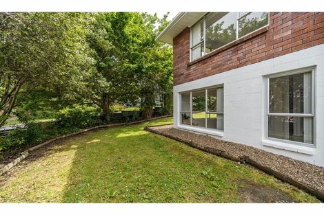 Photo of property in 1b South Pacific Place, Henderson, Auckland, 0612