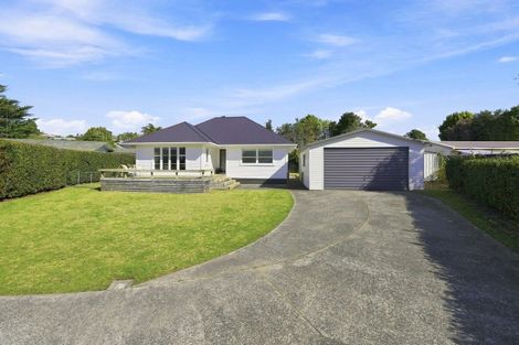 Photo of property in 46 Bellevue Road, Brookfield, Tauranga, 3110