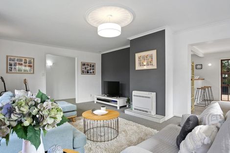 Photo of property in 4 Alfred Back Place, Cambridge, 3434