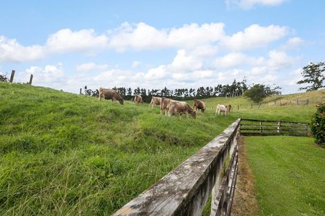 Photo of property in 12 Upland Road, Aongatete, Katikati, 3181