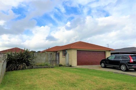 Photo of property in 17 Marblewood Grove, Pukekohe, 2120