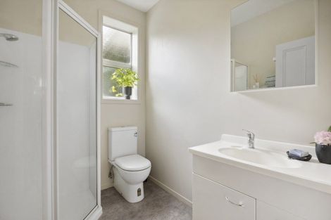 Photo of property in 41 Littlebourne Road, Roslyn, Dunedin, 9010