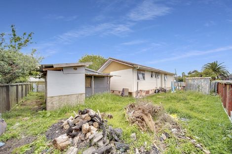 Photo of property in 24 Bingara Place, Favona, Auckland, 2024