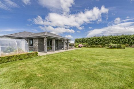 Photo of property in 115 Mill Road South, Seaward Bush, Invercargill, 9871