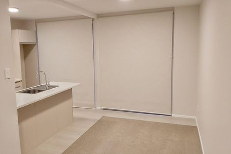 Photo of property in 1/162 Gowing Drive, Meadowbank, Auckland, 1072