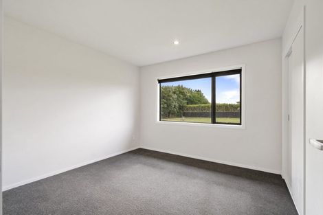 Photo of property in 46 Wapiti Avenue, Feilding, 4775