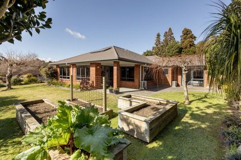 Photo of property in 10 Autumn Place, Ohauiti, Tauranga, 3112
