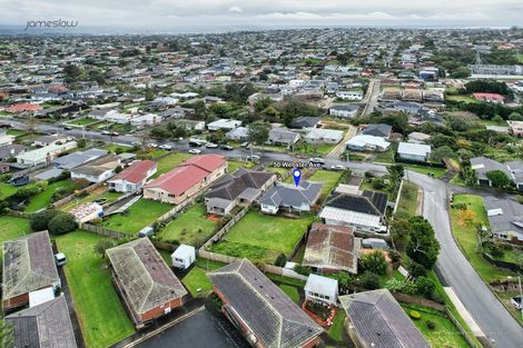 Photo of property in 50 Webster Avenue, Mount Roskill, Auckland, 1041