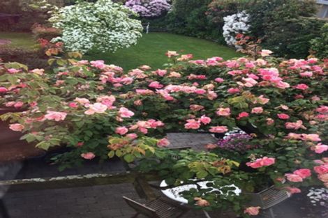 Photo of property in 184 Le Cren Street, Seaview, Timaru, 7910