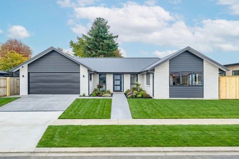 Photo of property in 7 Hauhake Terrace, Leamington, 3495