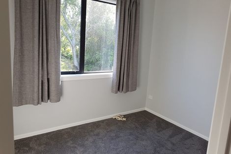 Photo of property in 247a Campbell Road, Greenlane, Auckland, 1061