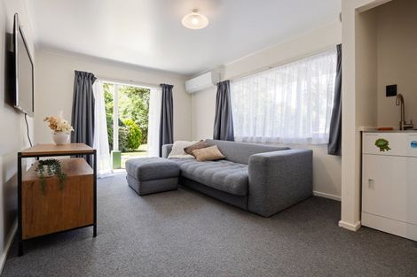 Photo of property in 19 Taniwha Street, Frankton, Hamilton, 3204