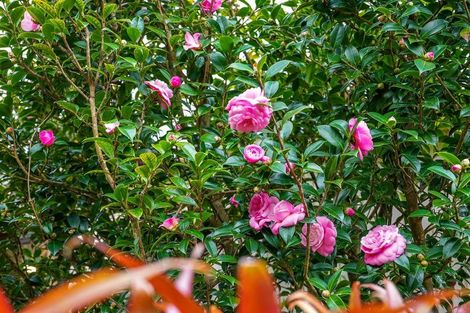 Photo of property in 40a Duncansby Road, Stanmore Bay, Whangaparaoa, 0932