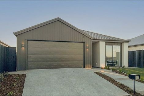 Photo of property in 19 Croucher Street, Kaiapoi, 7630