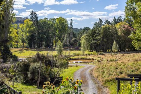 Photo of property in 2249e Te Wharau Road, Te Wharau, Masterton, 5883