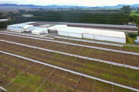 Photo of property in 11 Trig Road, Waihi, 3681