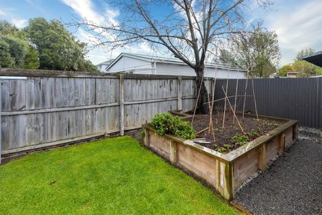 Photo of property in 55 Selwyn Street, Somerfield, Christchurch, 8024