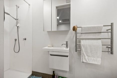 Photo of property in Aniva Terrace, 13 Arney Street, Newtown, Wellington, 6021