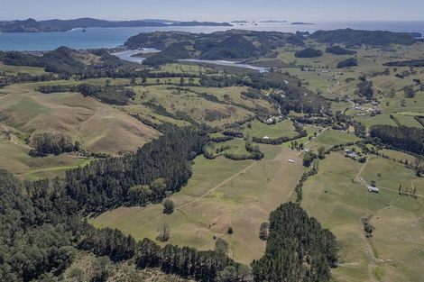 Photo of property in 403 Purangi Road, Purangi, Whitianga, 3591