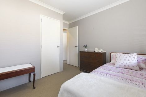 Photo of property in 87 Solomon Street, Brookfield, Tauranga, 3110