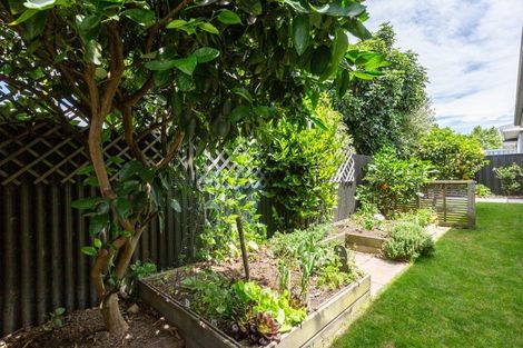 Photo of property in 87a Avondale Road, Greenmeadows, Napier, 4112