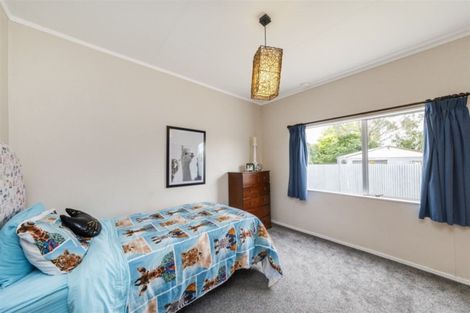 Photo of property in 260 Cambridge Avenue, Ashhurst, 4810