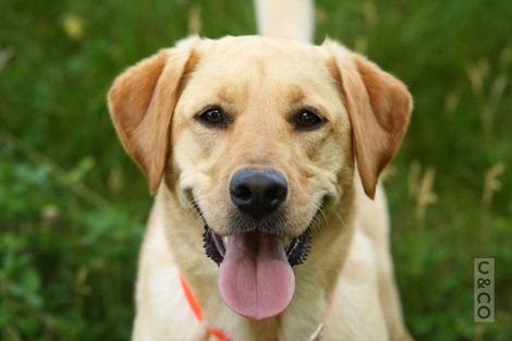 Photo of property in 19 Merlot Heights, Huapai, Kumeu, 0810