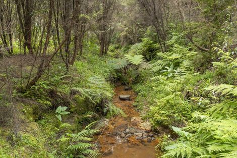 Photo of property in 141 Glenmore Road, Coatesville, Albany, 0793