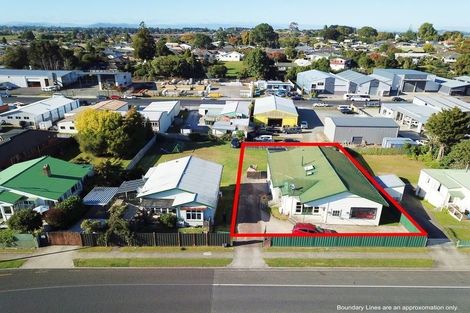 Photo of property in 190 Albert Park Drive, Te Awamutu, 3800