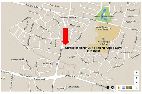 Photo of property in 395 Murphys Road, Flat Bush, Auckland, 2019