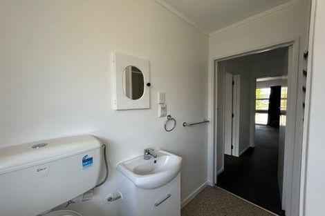Photo of property in 127 Albert Street, Terrace End, Palmerston North, 4410
