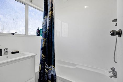 Photo of property in 158 Brecon Road, Stratford, 4332