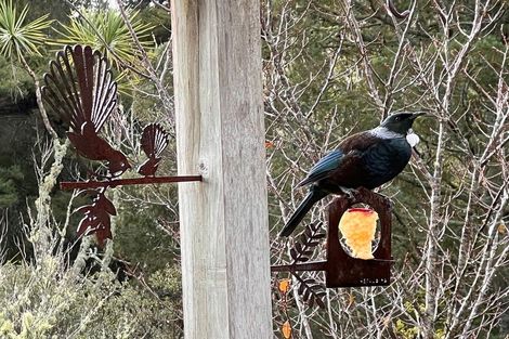 Photo of property in 14 Moore Street, Hillcrest, Auckland, 0627